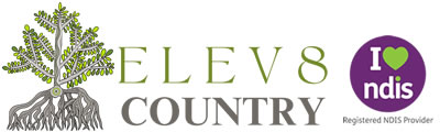 Elev8 Country